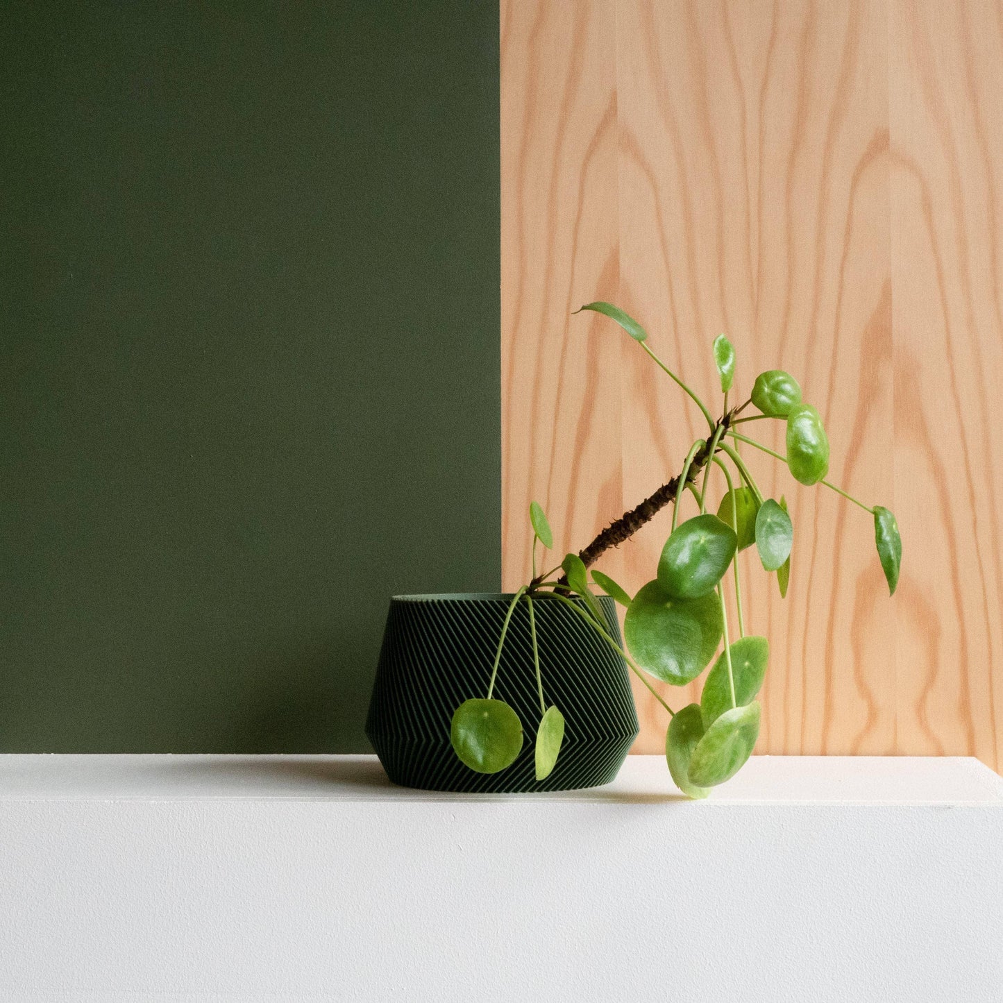 Fioriera da interno Oslo: M - EMME DESIGN