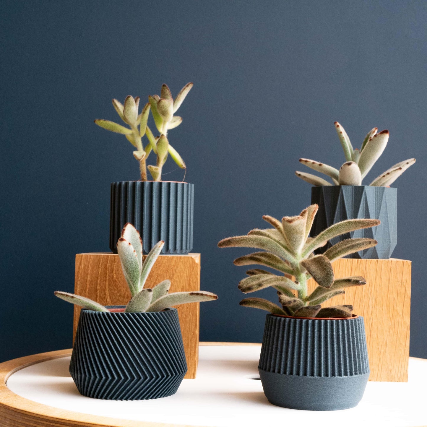 Set di 4 fioriere — Idea regalo originale - EMME DESIGN