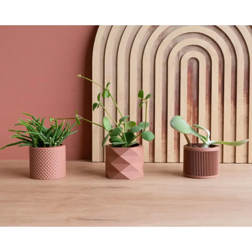 Set di 3 vasi per piante — Piko - Diamant - Giappone