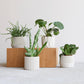 Set di 4 fioriere da interno — Oslo Origami Kobe Stockholm