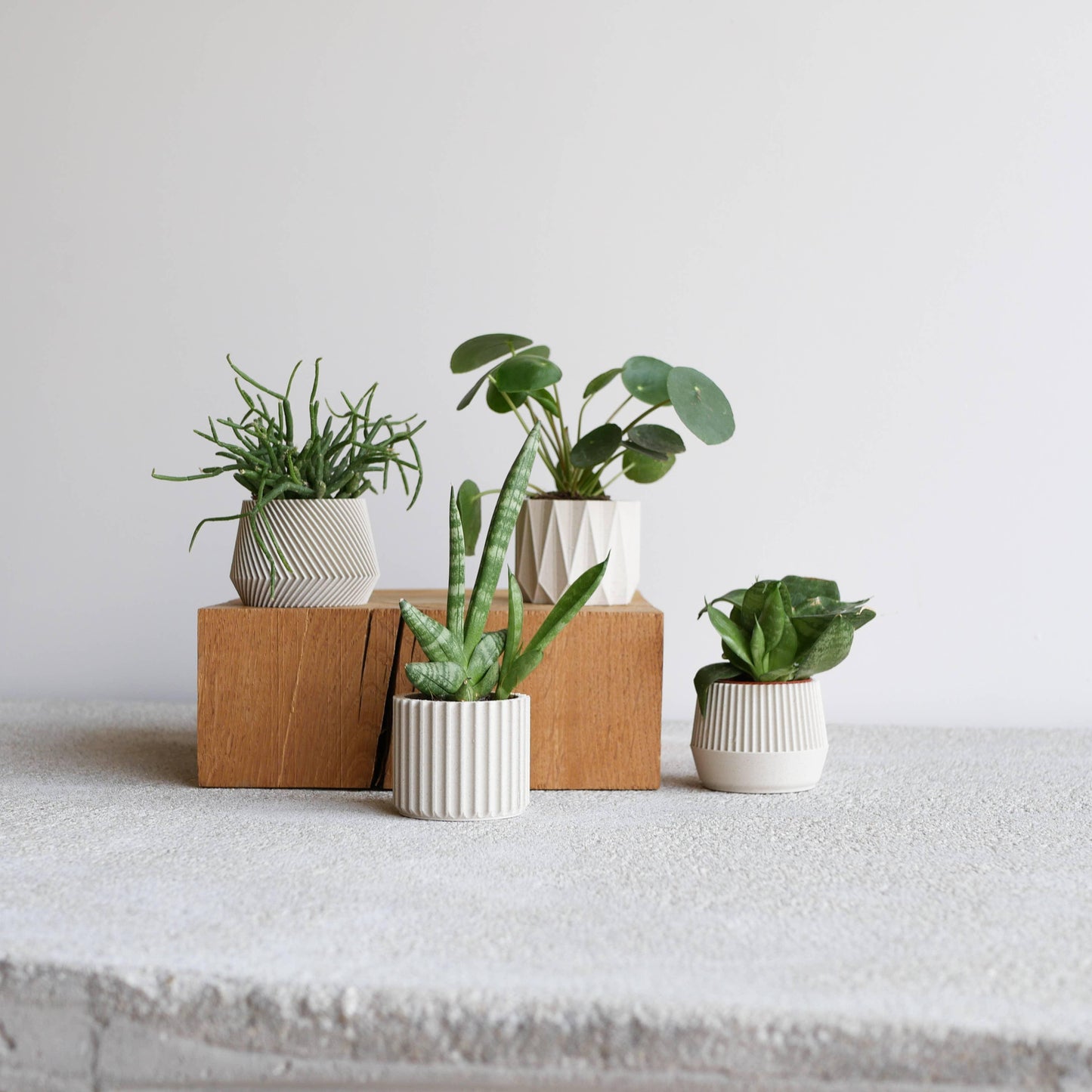 Set di 4 fioriere da interno — Oslo Origami Kobe Stockholm