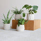 Set di 4 fioriere da interno — Oslo Origami Kobe Stockholm