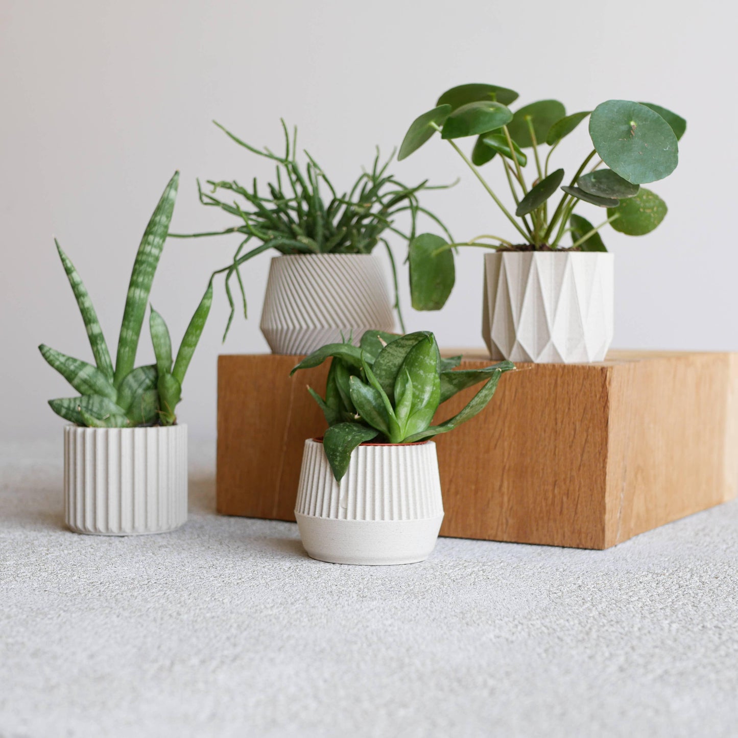Set di 4 fioriere da interno — Oslo Origami Kobe Stockholm
