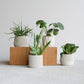 Set di 4 fioriere da interno — Oslo Origami Kobe Stockholm