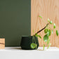 Fioriera da interno Oslo: M - EMME DESIGN